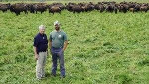 Pierre and Charles Bélanger in the Bison du Nord pastures