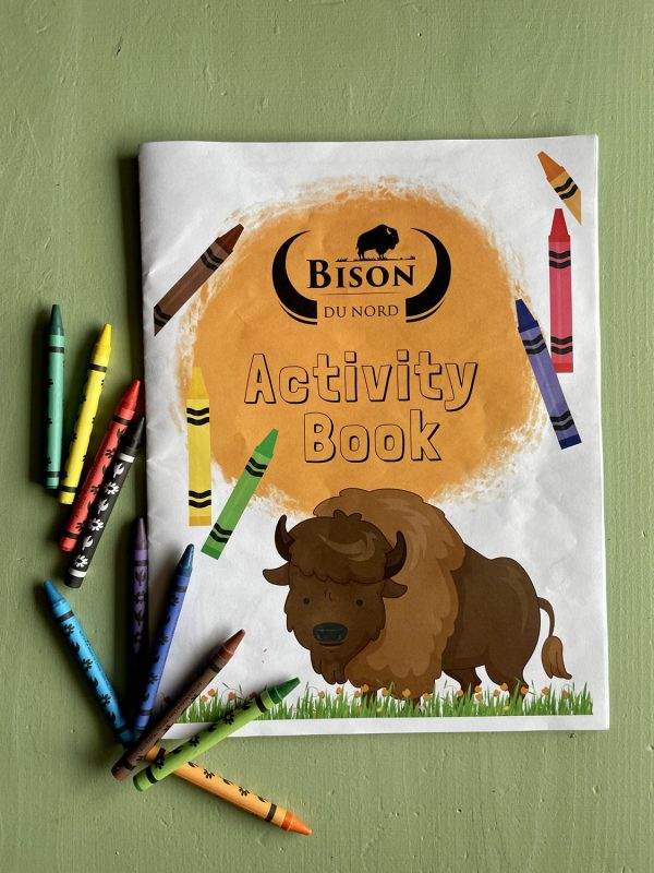 BDN Kids Activity Book 2