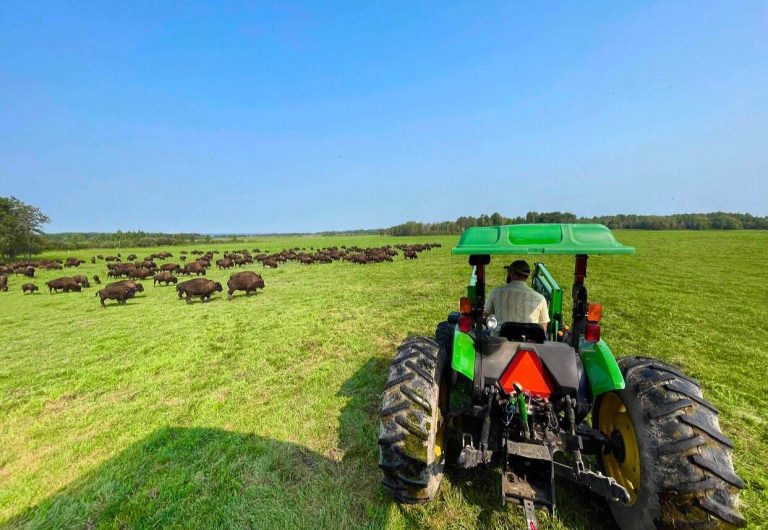 Green tractor and summer pastures Green tractor and summer pastures