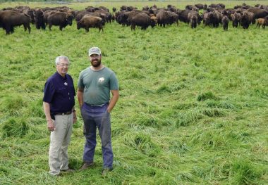 Pierre and Charles Bélanger_1 Pierre and Charles Bélanger in the Bison du Nord pastures