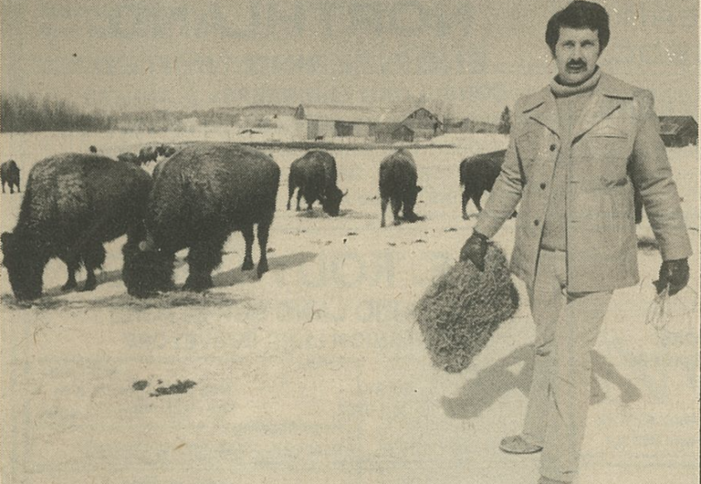 Pierre parmi les bisons 1982