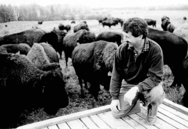 bisondunord-fun-at-the-farm-1990