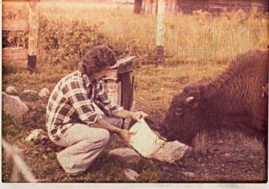 bisondunord-our-story-1 bisondunord-our-story-1