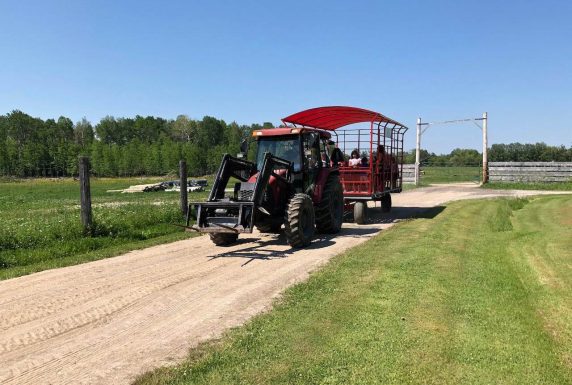 tractor and covered wagon ride tractor and covered wagon ride