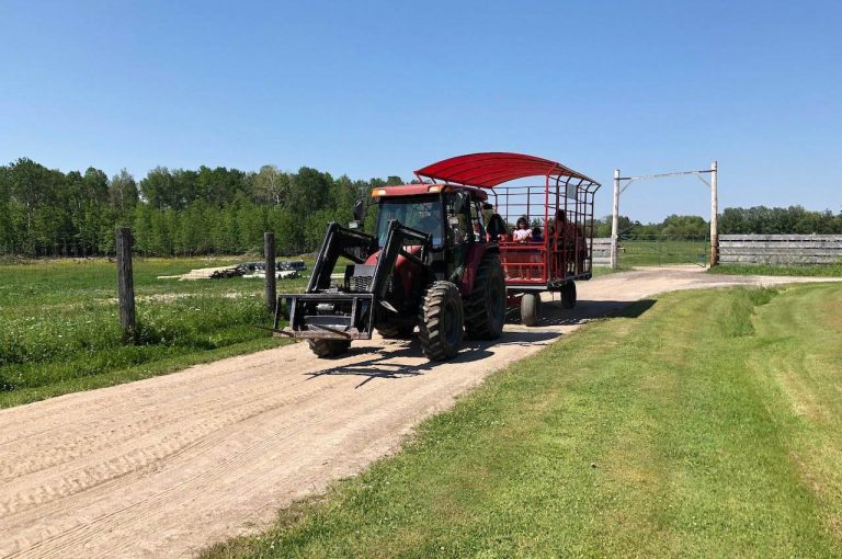 tractor and covered wagon ride